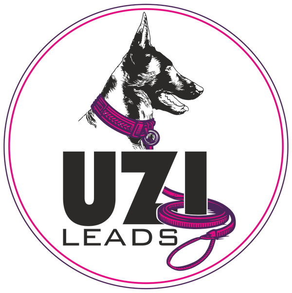 Uzi Leads